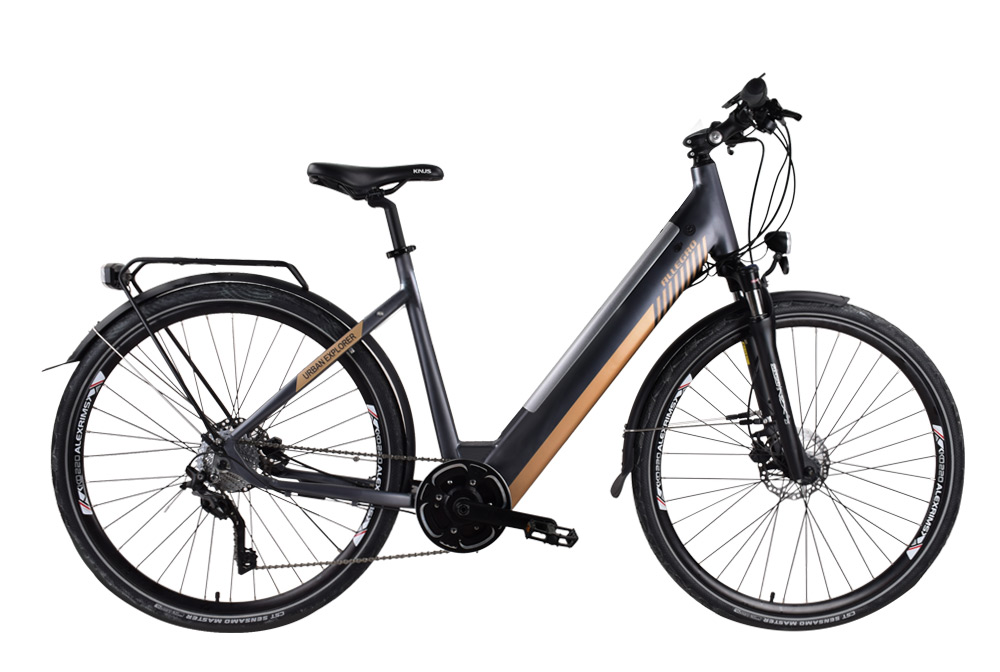 Allegro E-Bike - Urban Explorer im Sommer Sale bis zu 56 Rabatt